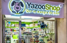 Yazoo Shop Rc centro